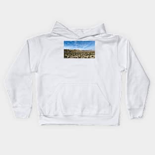 Anza Borrego Desert State Park Kids Hoodie